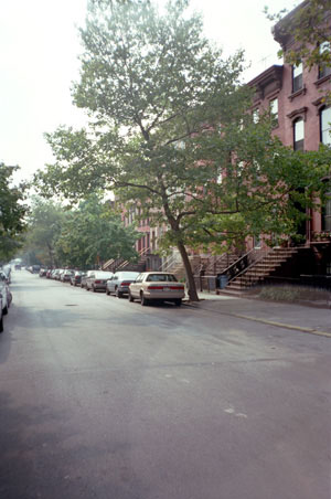 http://www.travelogues.net/Brooklyn/images/Greenpoint/greenpoint_street_02.jpg