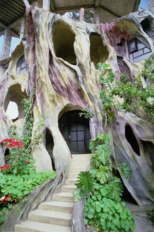 Vietnamese tree house